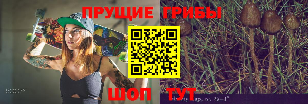 цены   Вход с VPN  Большой Камень  Галлюциногенные грибы GOLDEN TEACHER 