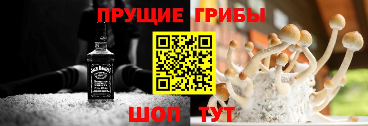 Галлюциногенные грибы прущие грибы Большой Камень